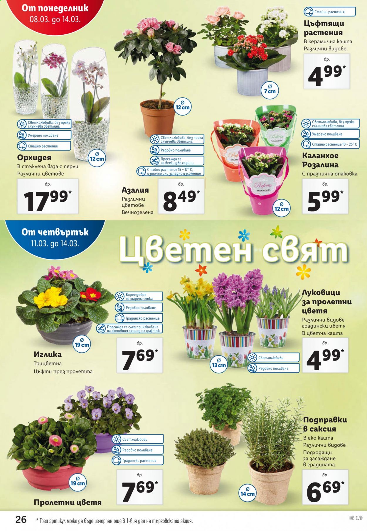 Брошура на Лидл - 08.03.2021 - 14.03.2021. Страница 26