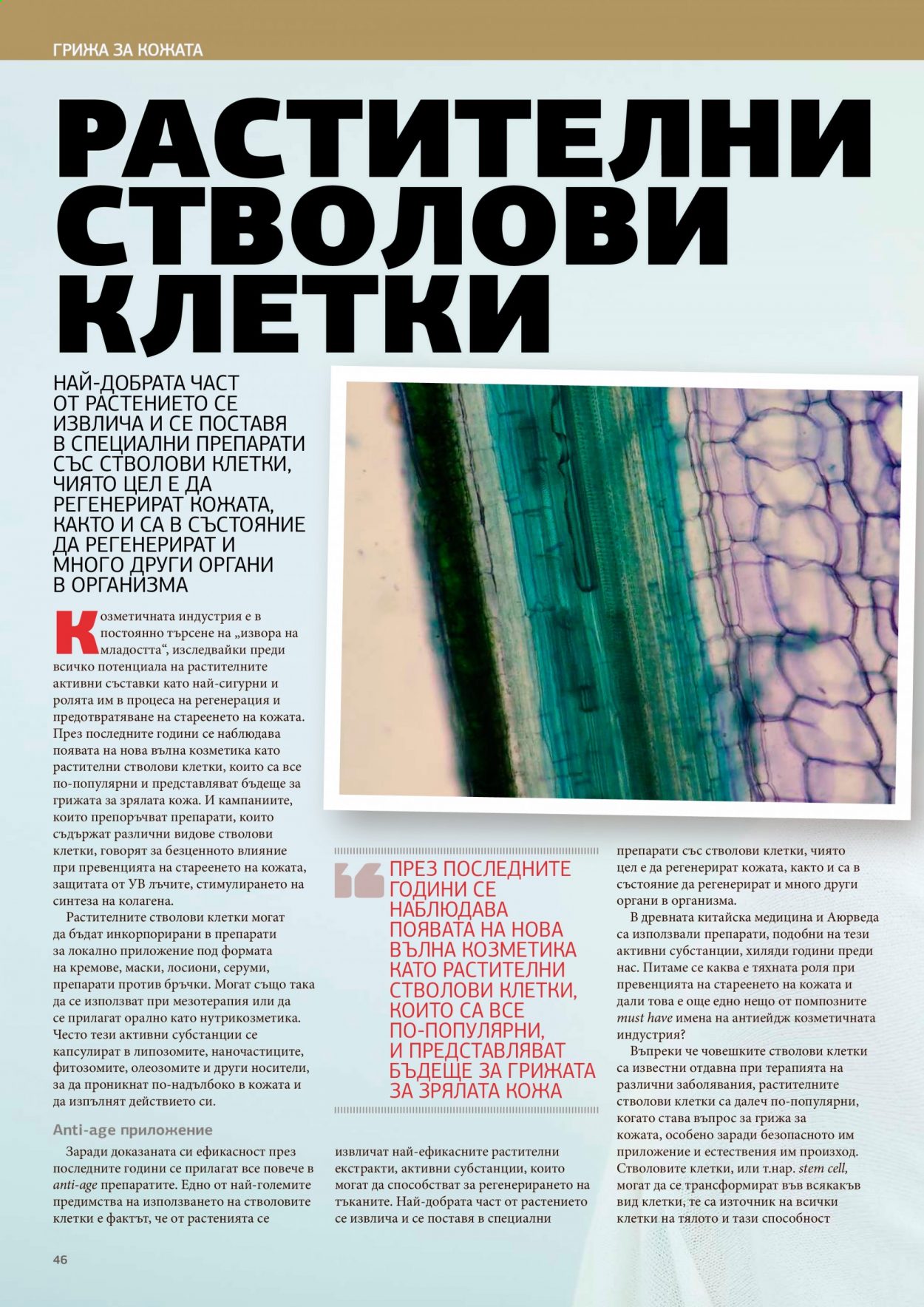 Брошура на Lilly. Страница 46
