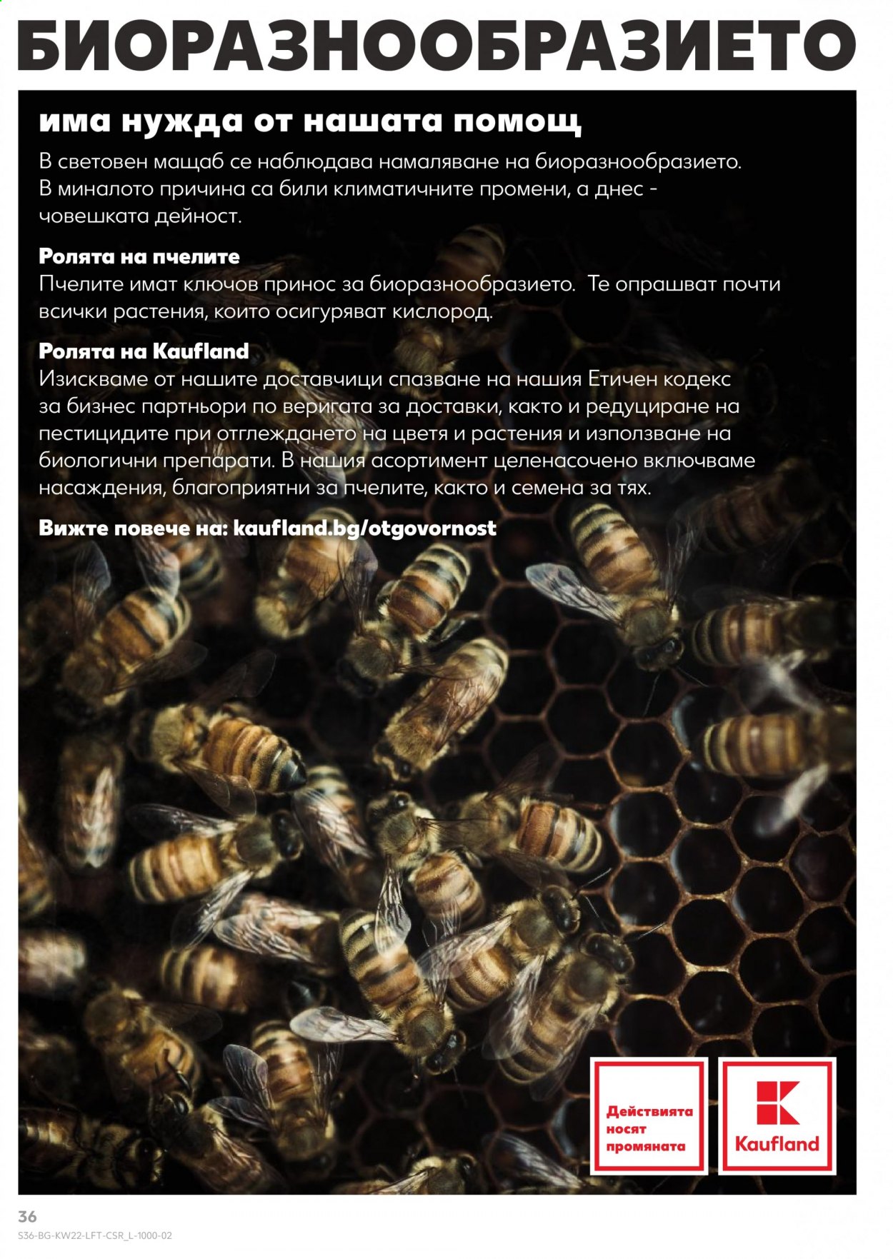 Брошура на Кауфланд - 31.05.2021 - 06.06.2021. Страница 36