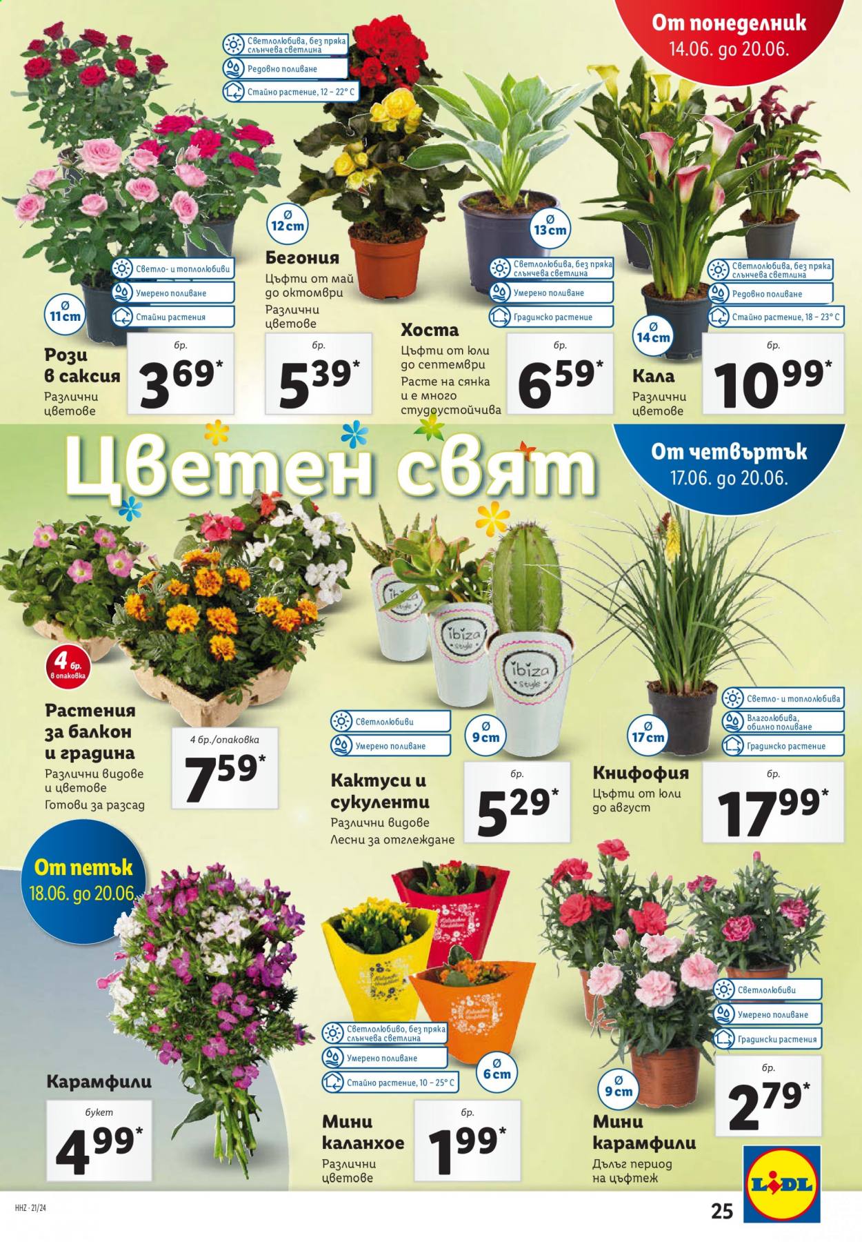 Брошура на Лидл - 14.06.2021 - 20.06.2021. Страница 25