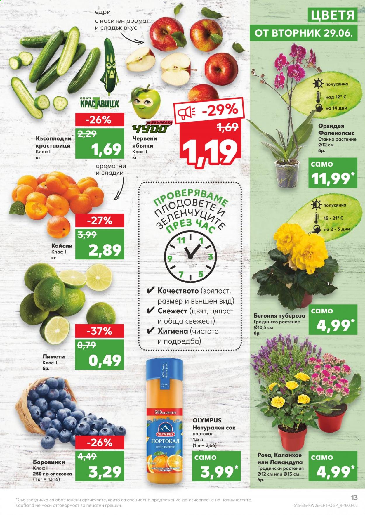 Брошура на Кауфланд - 28.06.2021 - 04.07.2021. Страница 13