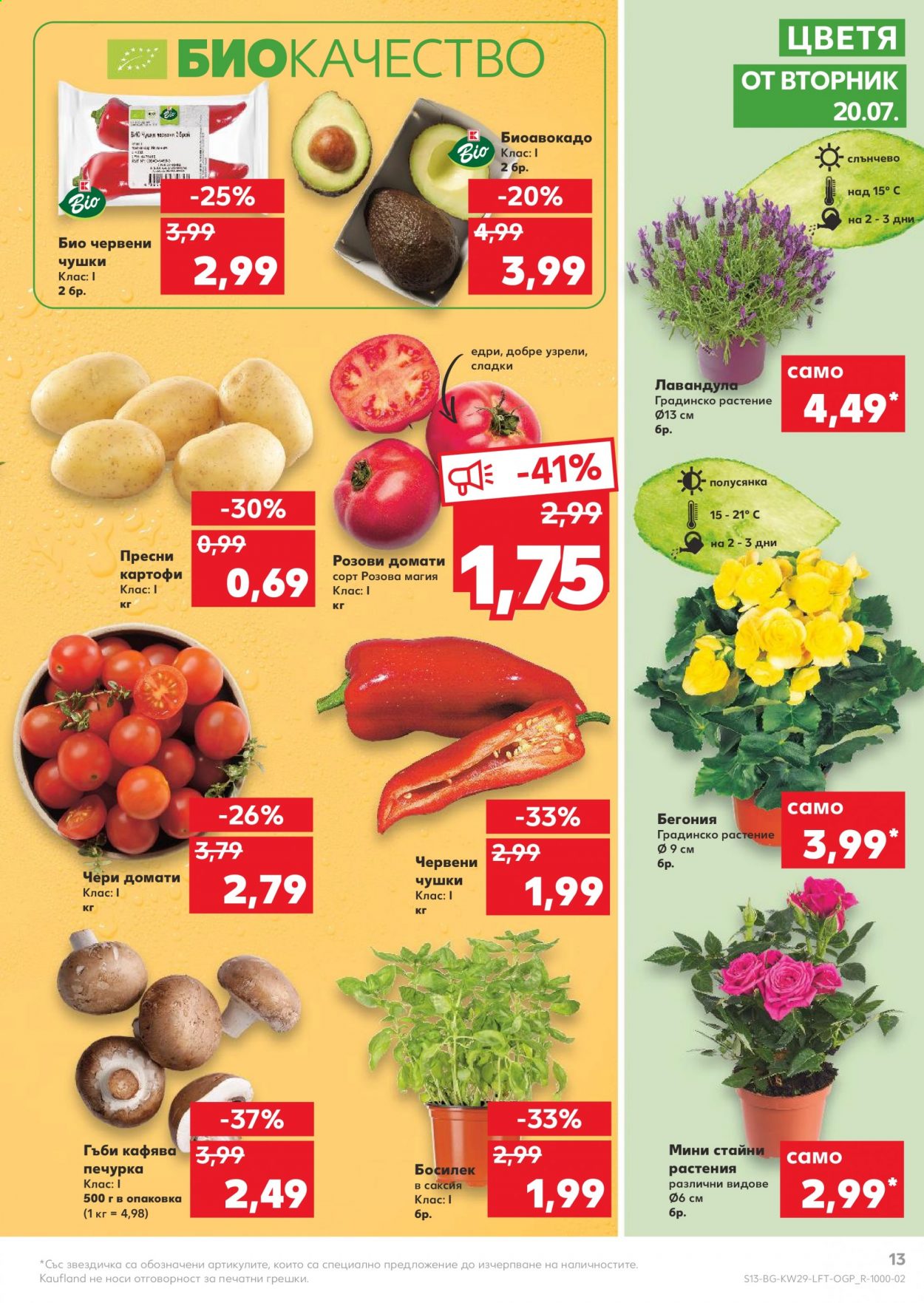thumbnail - Брошура на Кауфланд - 19.07.2021 - 25.07.2021 - Продавани продукти - домати, картофи, розови домати. Страница 13.