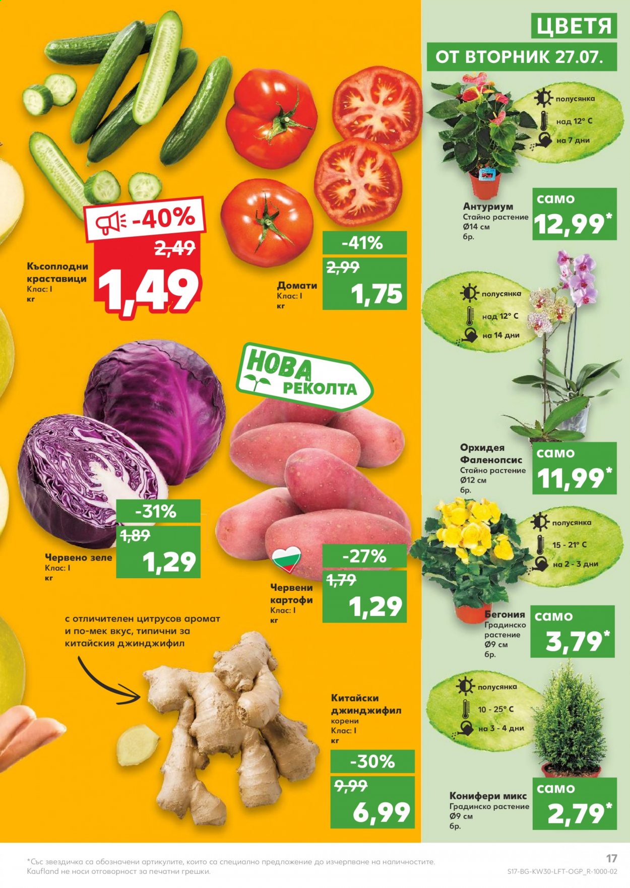 Брошура на Кауфланд - 26.07.2021 - 01.08.2021. Страница 17