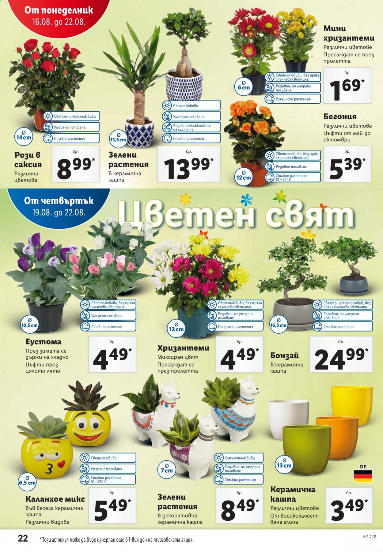 Брошура на Лидл - 16.08.2021 - 22.08.2021. Страница 22