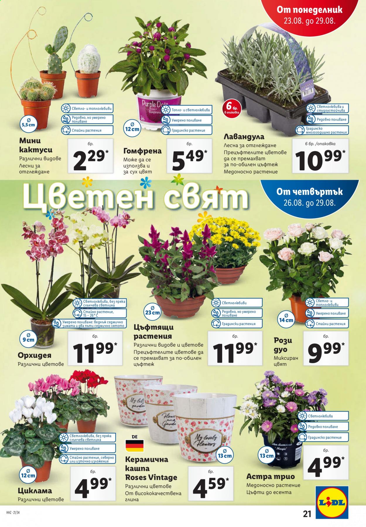 Брошура на Лидл - 23.08.2021 - 29.08.2021. Страница 21