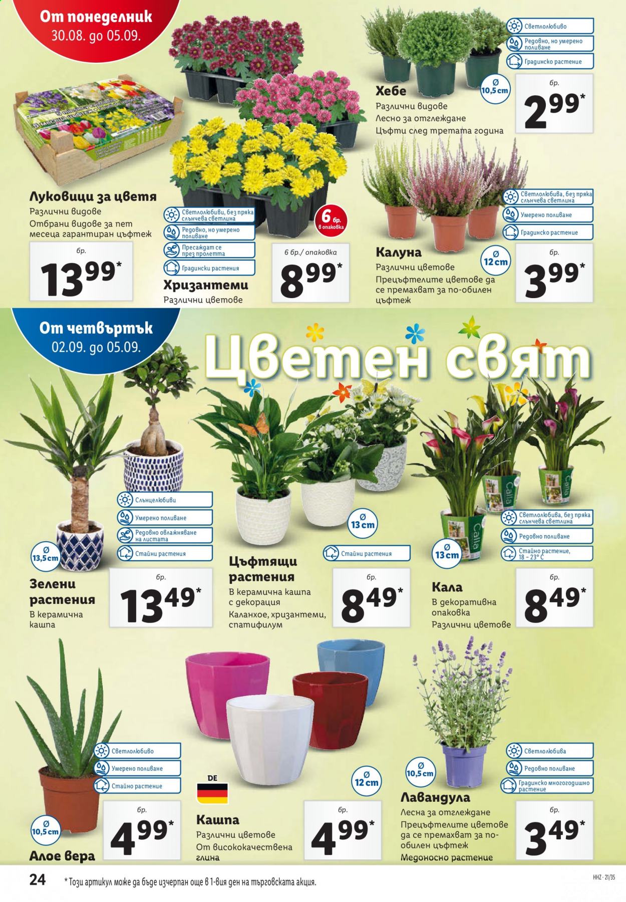Брошура на Лидл - 30.08.2021 - 05.09.2021. Страница 24