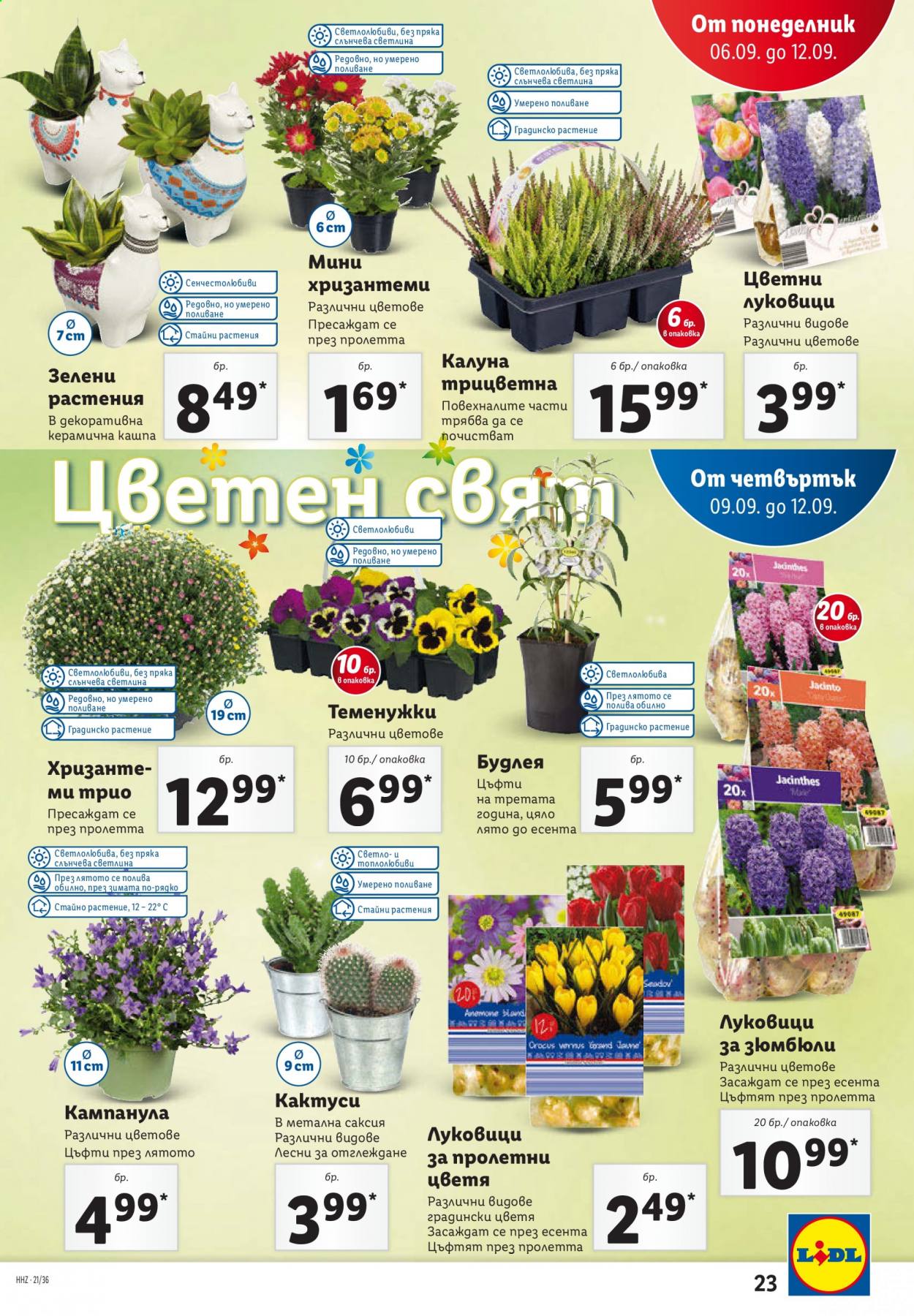 Брошура на Лидл - 06.09.2021 - 12.09.2021. Страница 23