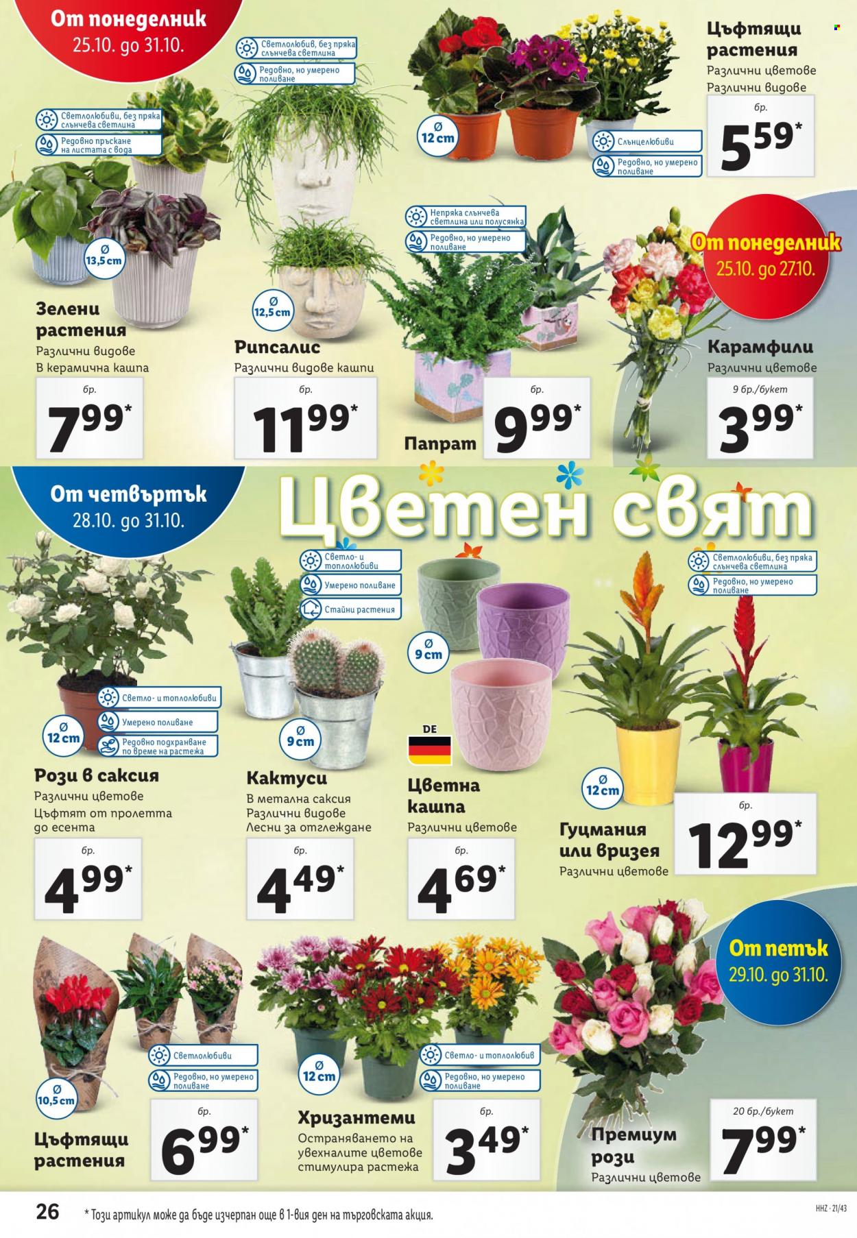Брошура на Лидл - 25.10.2021 - 31.10.2021. Страница 26