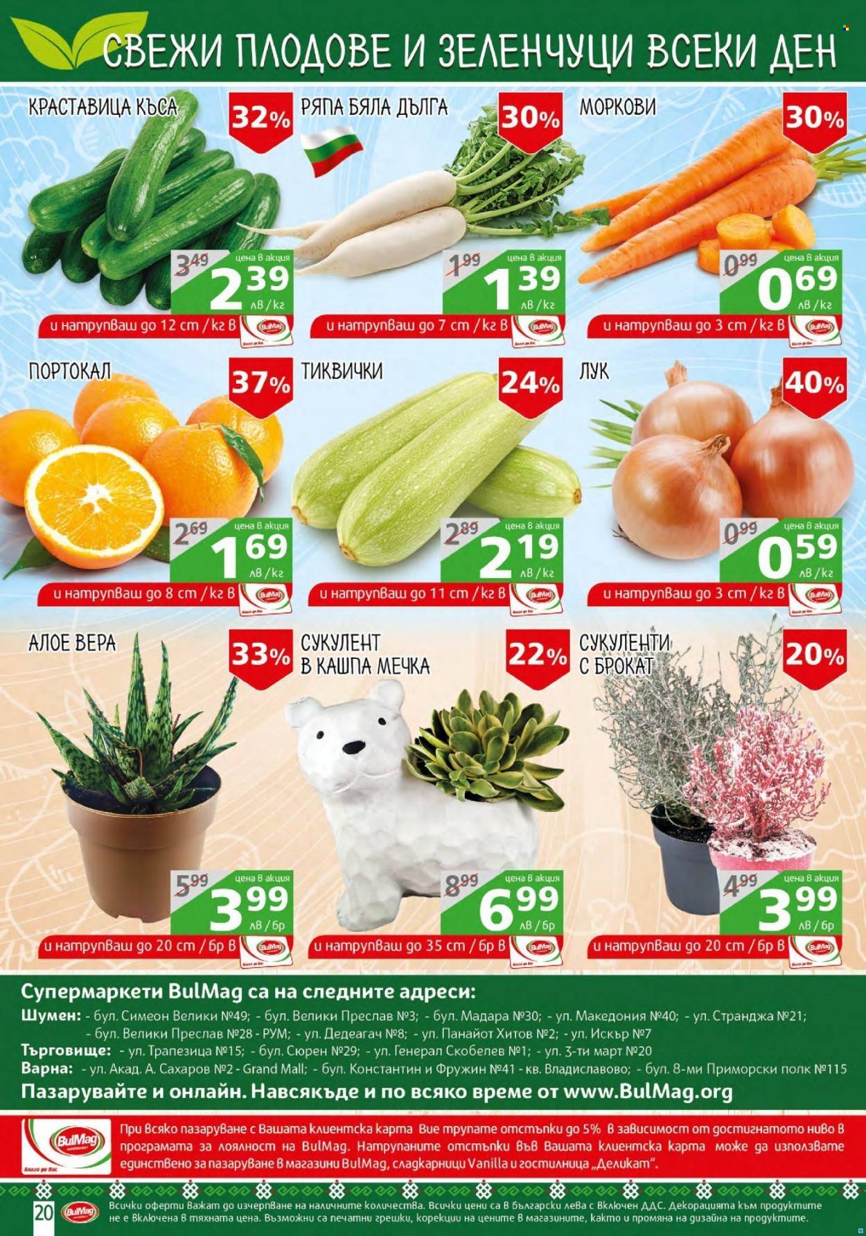thumbnail - Брошура на BulMag - 29.11.2021 - 05.12.2021 - Продавани продукти - лук, моркови, сукуленти. Страница 20.