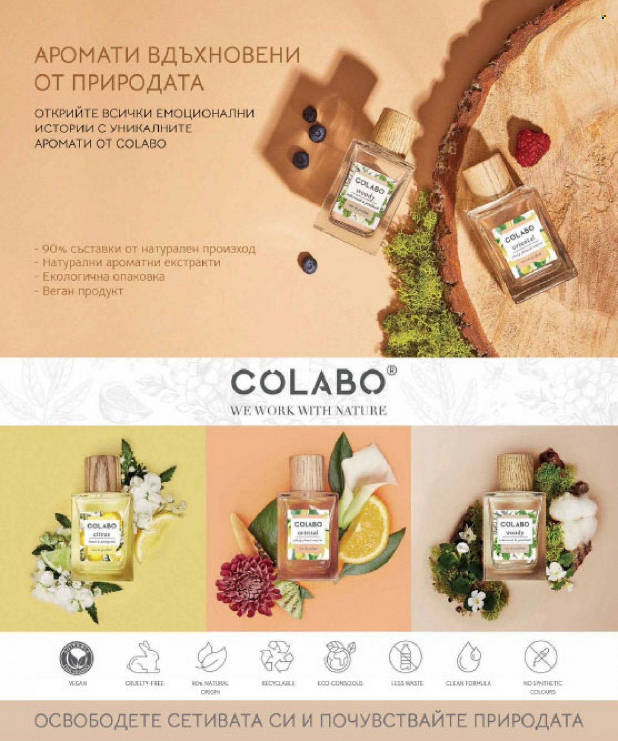 Брошура на Lilly. Страница 38