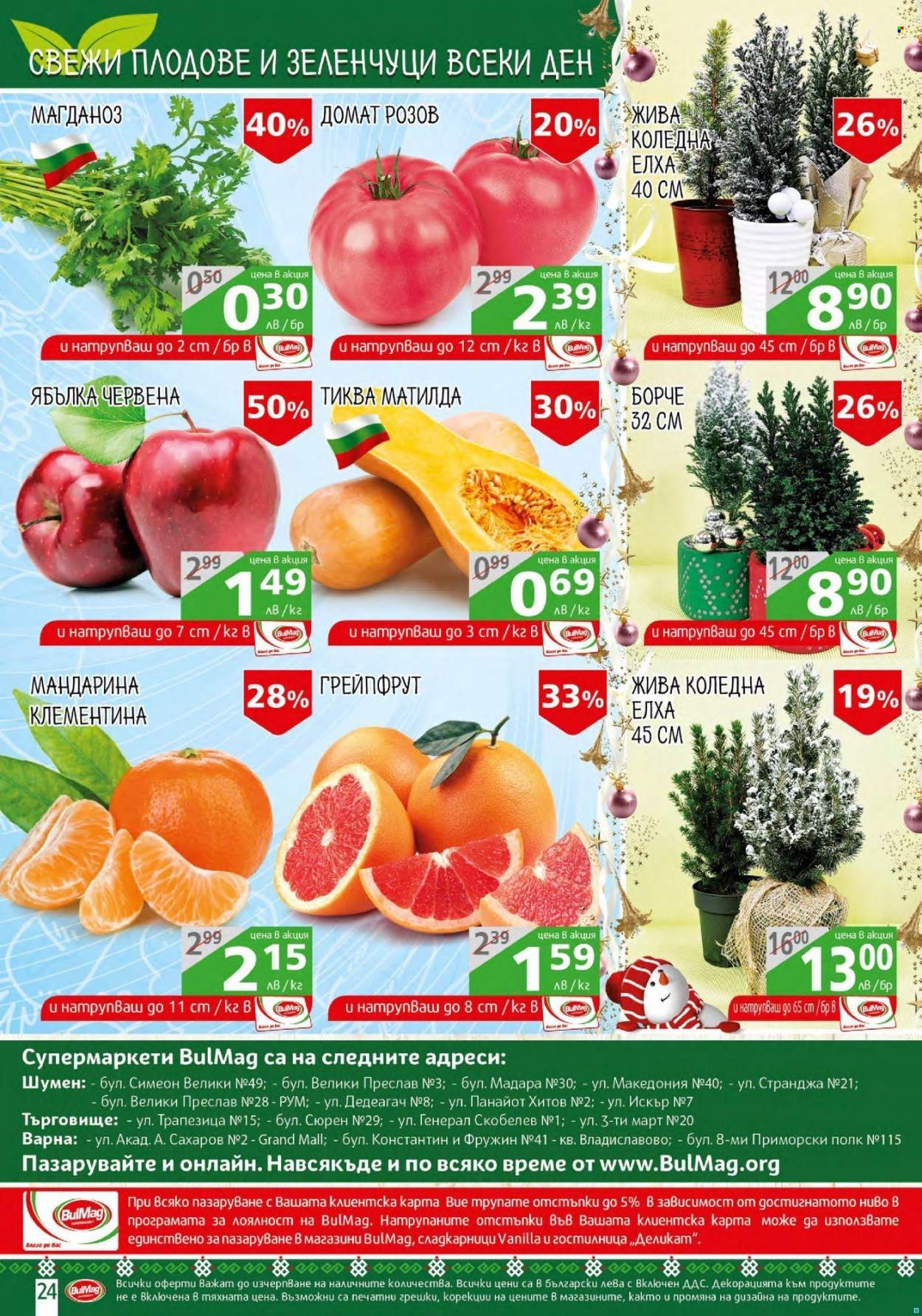 Брошура на BulMag - 06.12.2021 - 12.12.2021. Страница 24