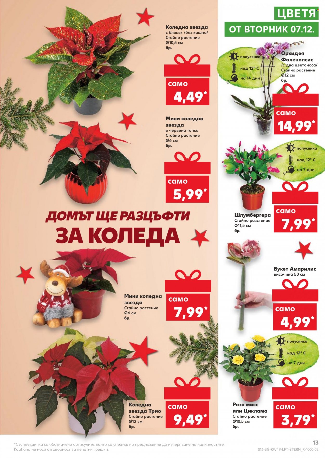 Брошура на Кауфланд - 06.12.2021 - 12.12.2021. Страница 13