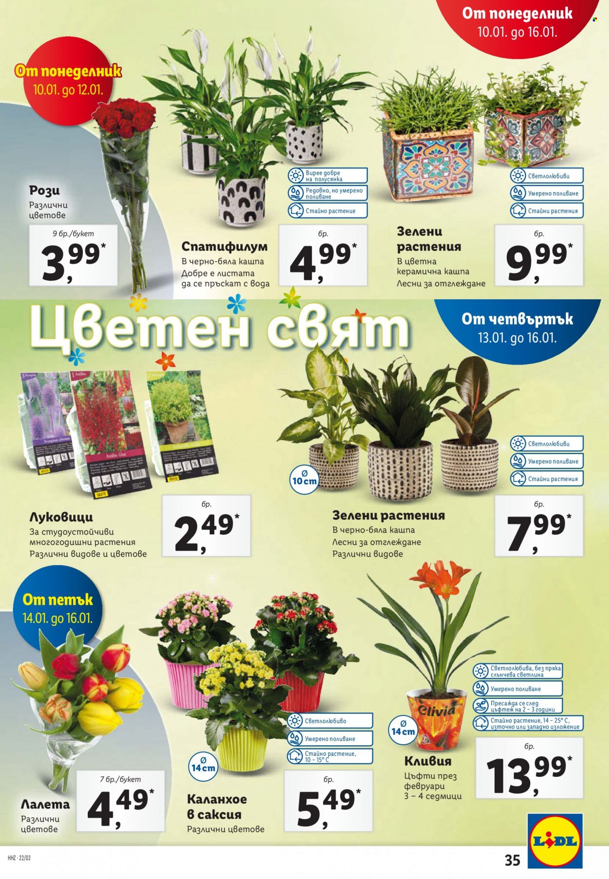 Брошура на Лидл - 10.01.2022 - 16.01.2022. Страница 35
