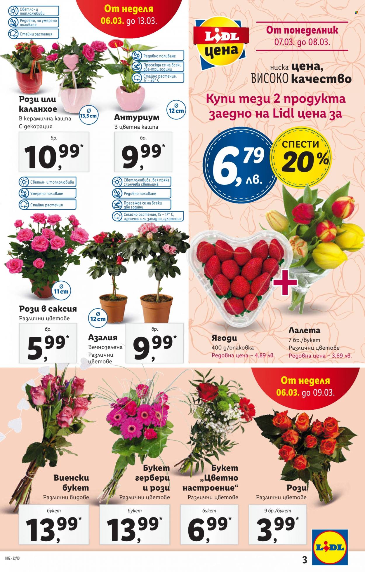 Брошура на Лидл - 07.03.2022 - 13.03.2022. Страница 3