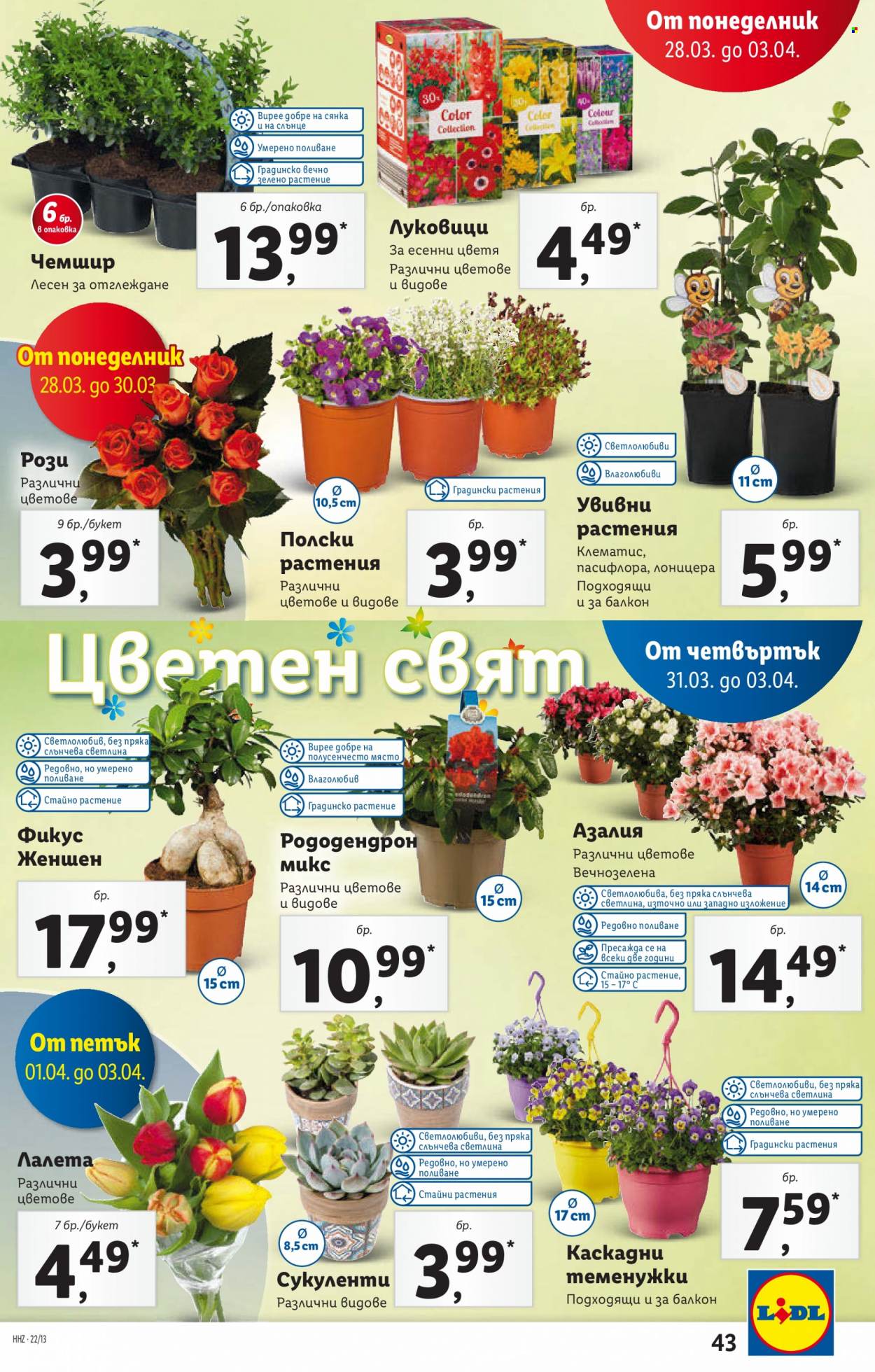 Брошура на Лидл - 28.03.2022 - 03.04.2022. Страница 43