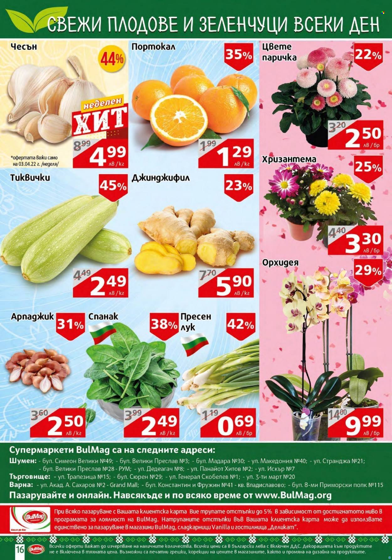 Брошура на BulMag - 28.03.2022 - 03.04.2022. Страница 16