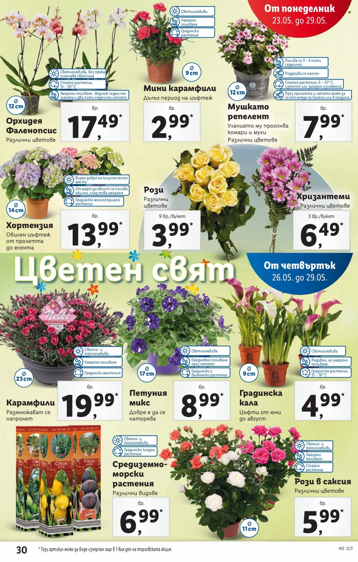 Брошура на Лидл - 23.05.2022 - 29.05.2022. Страница 30