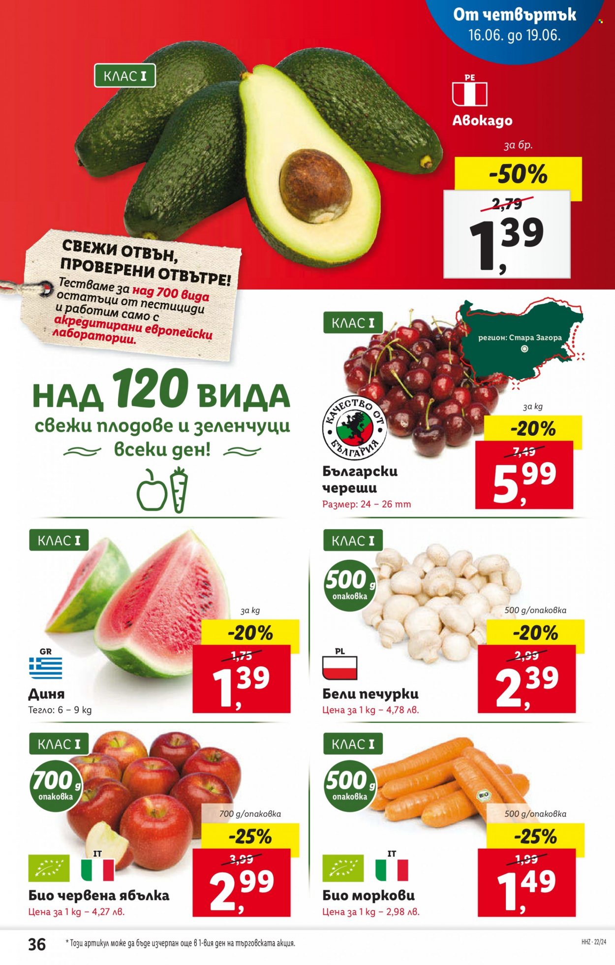 Брошура на Лидл - 13.06.2022 - 19.06.2022. Страница 36