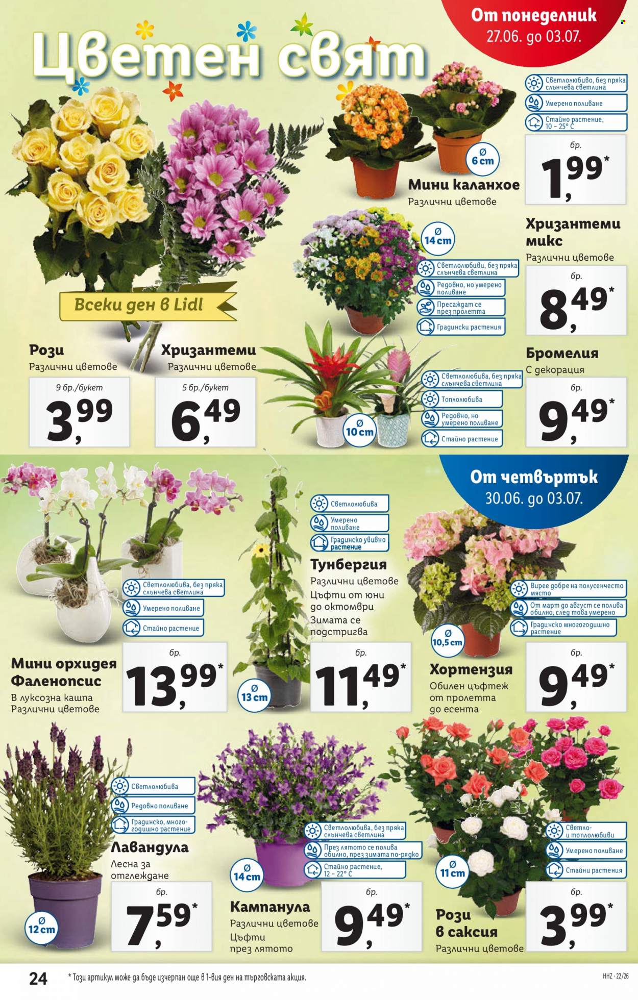Брошура на Лидл - 27.06.2022 - 03.07.2022. Страница 24