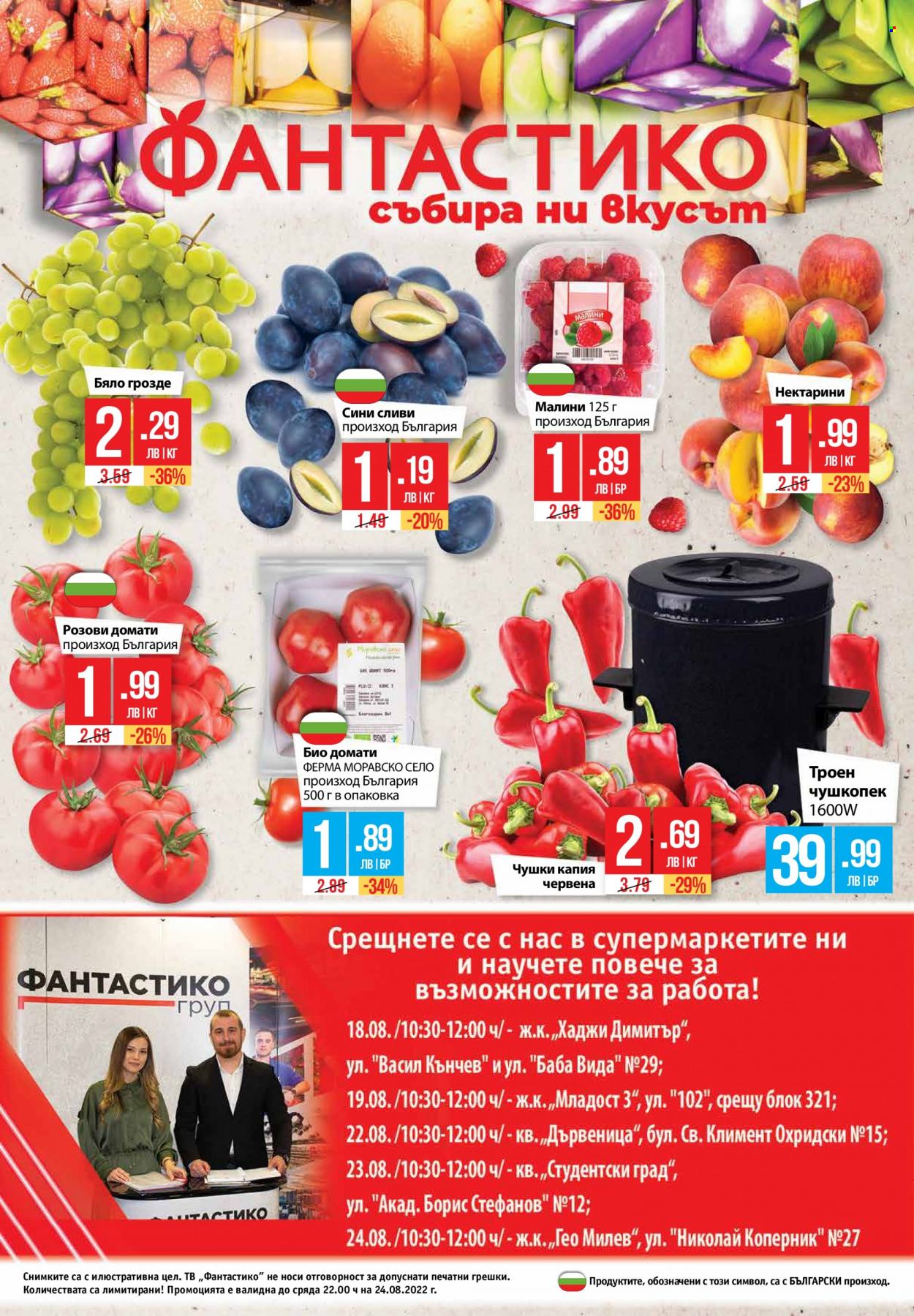 Брошура на Фантастико - 18.08.2022 - 24.08.2022. Страница 24