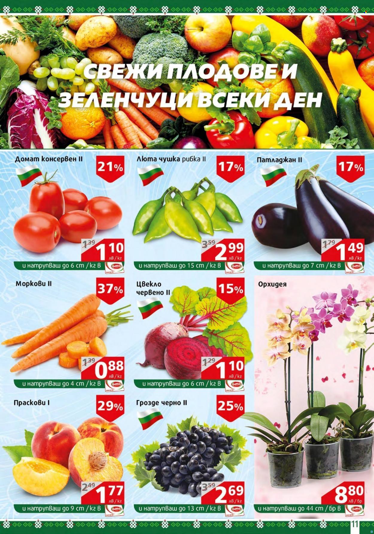 Брошура на BulMag - 29.08.2022 - 04.09.2022. Страница 11