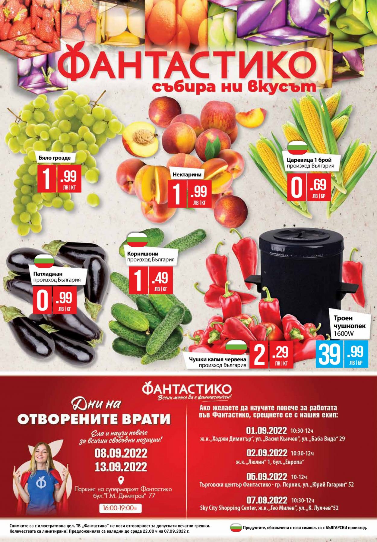 Брошура на Фантастико - 01.09.2022 - 07.09.2022. Страница 24