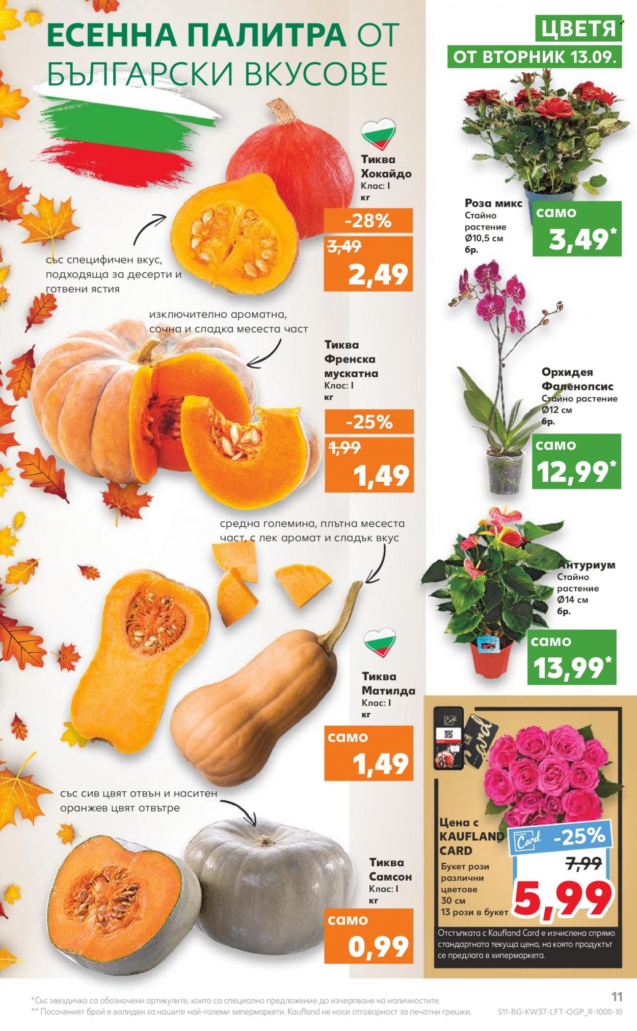 Брошура на Кауфланд - 12.09.2022 - 18.09.2022. Страница 11