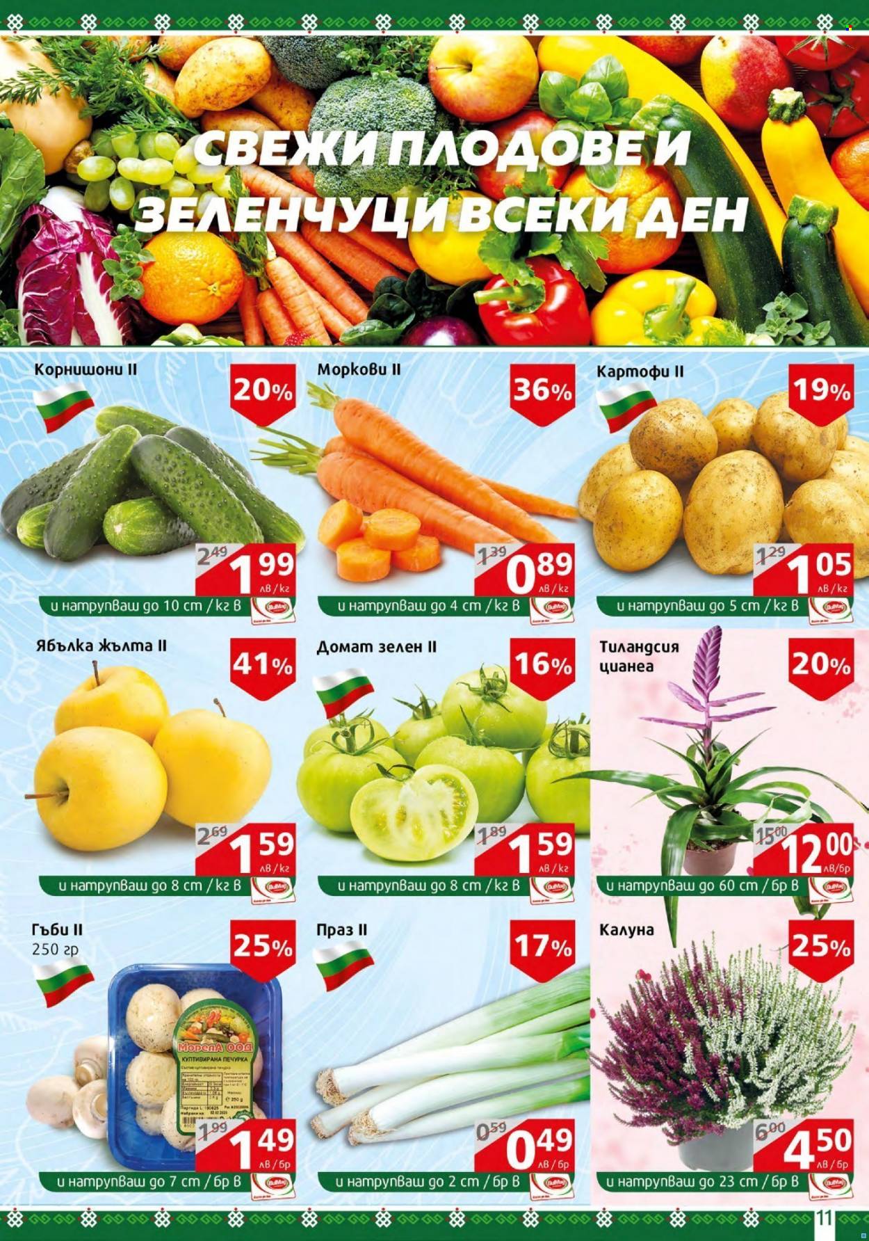 Брошура на BulMag - 26.09.2022 - 02.10.2022. Страница 11