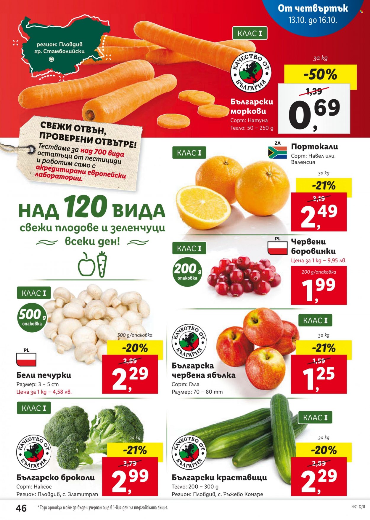 Брошура на Лидл - 10.10.2022 - 16.10.2022. Страница 46