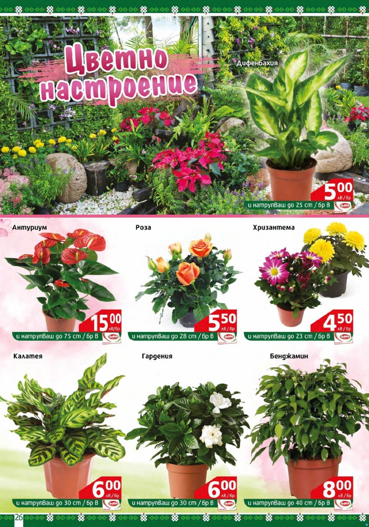 Брошура на BulMag - 07.11.2022 - 13.11.2022. Страница 26