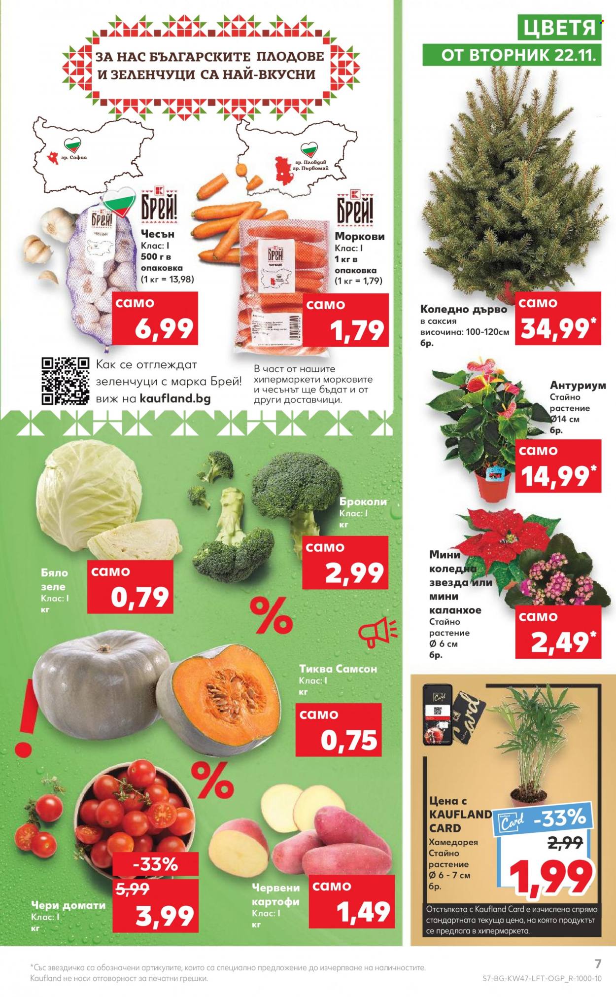 thumbnail - Брошура на Кауфланд - 21.11.2022 - 27.11.2022 - Продавани продукти - броколи, домати, картофи, чесън, моркови, антуриум, каланхое. Страница 7.