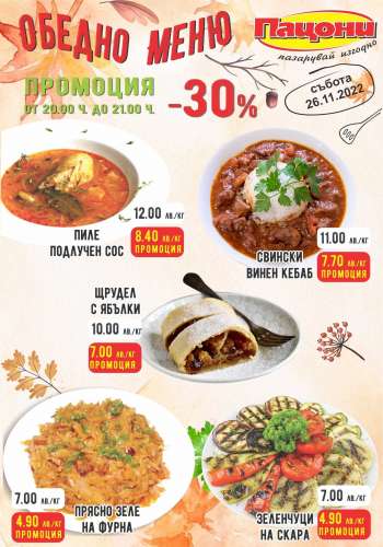 Брошура на Пацони - 26.11.2022 - 26.11.2022.