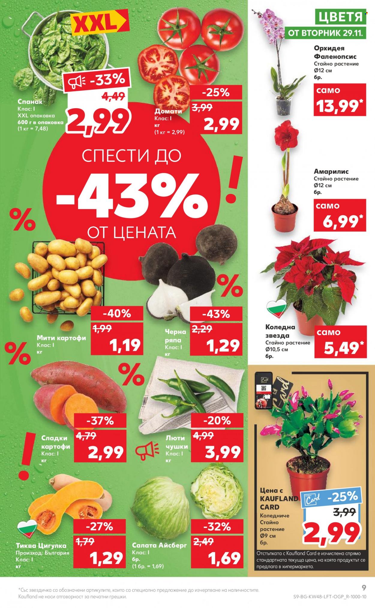 Брошура на Кауфланд - 28.11.2022 - 04.12.2022. Страница 9