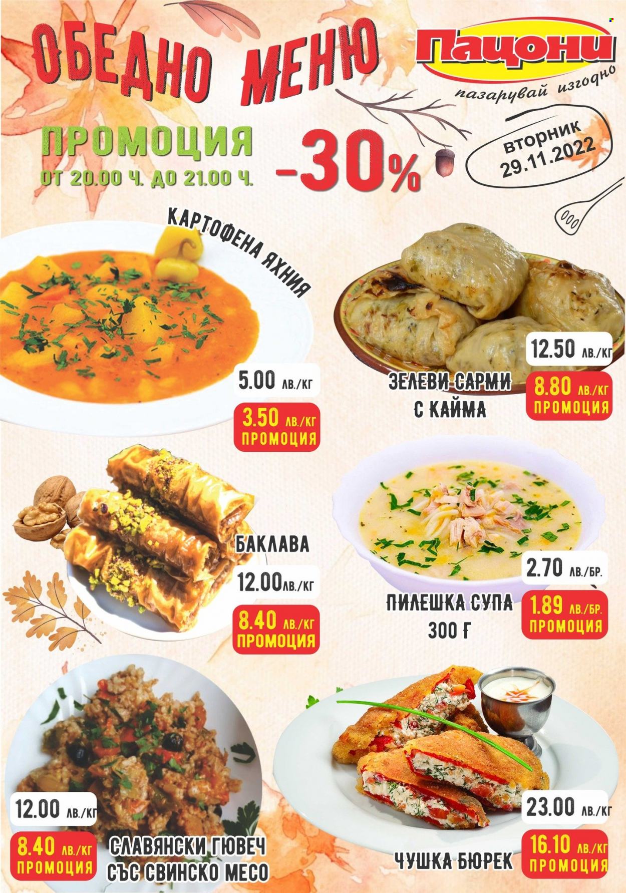 Брошура на Пацони - 29.11.2022 - 29.11.2022. Страница 1