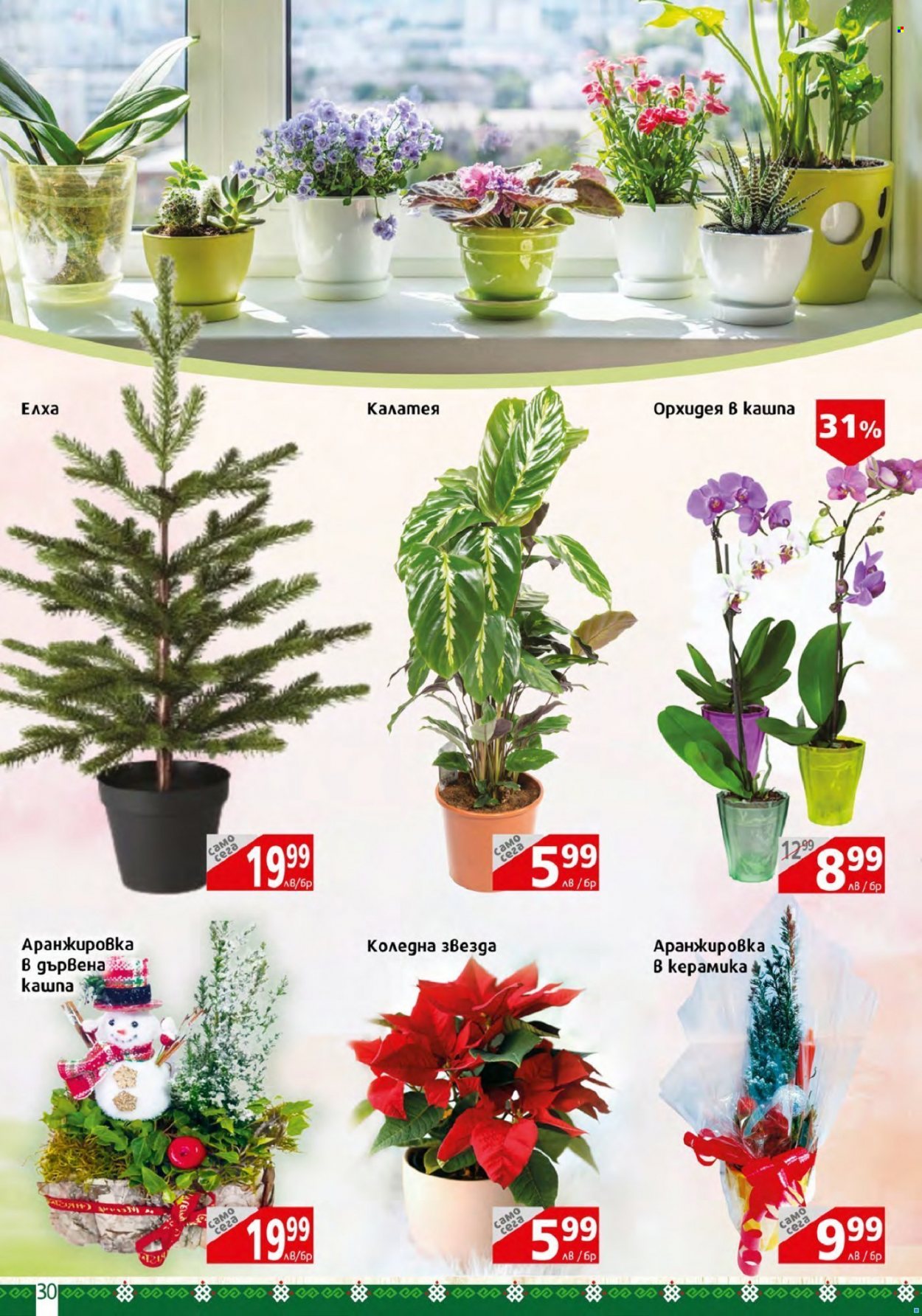 Брошура на BulMag - 12.12.2022 - 18.12.2022. Страница 30
