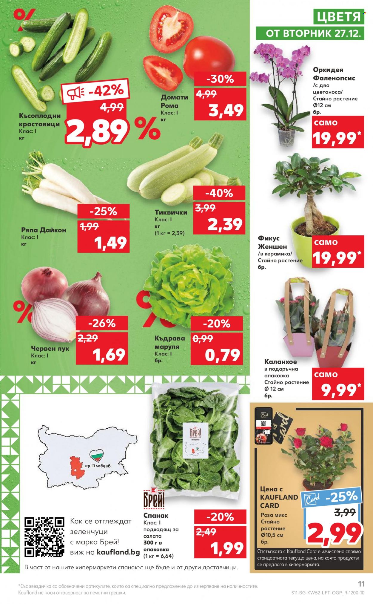 Брошура на Кауфланд - 26.12.2022 - 31.12.2022. Страница 11