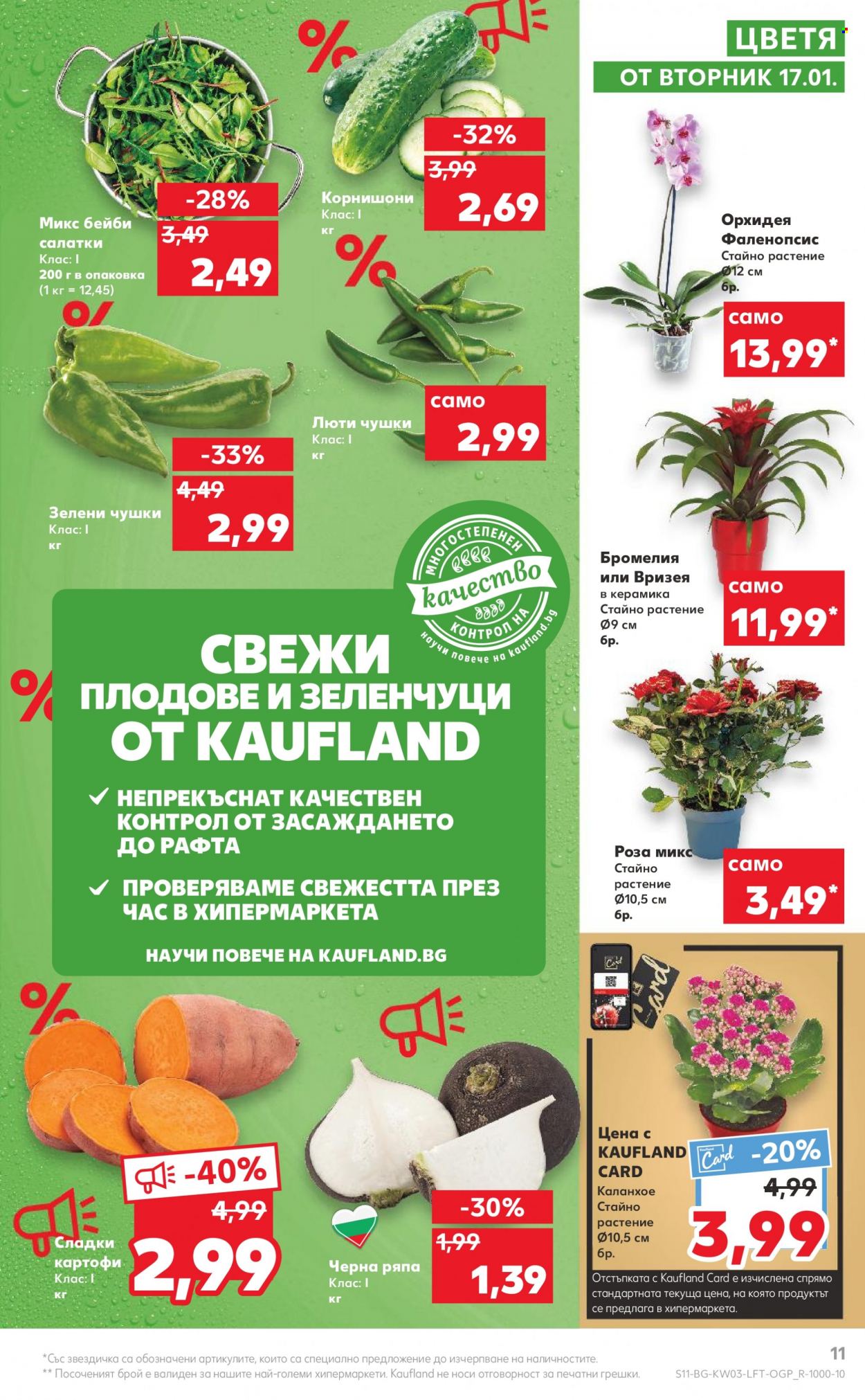 Брошура на Кауфланд - 16.01.2023 - 22.01.2023. Страница 11