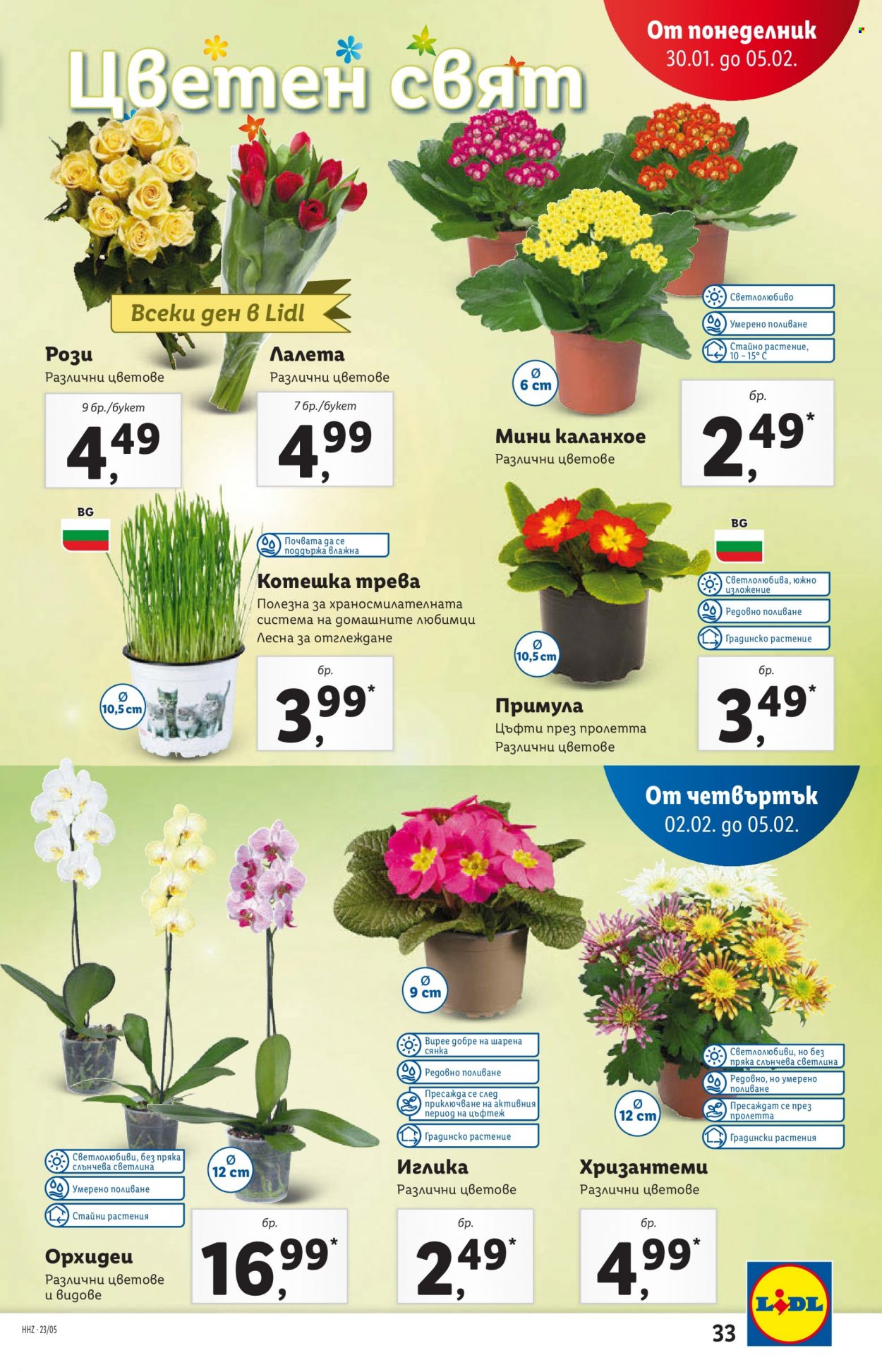 Брошура на Лидл - 30.01.2023 - 05.02.2023. Страница 33