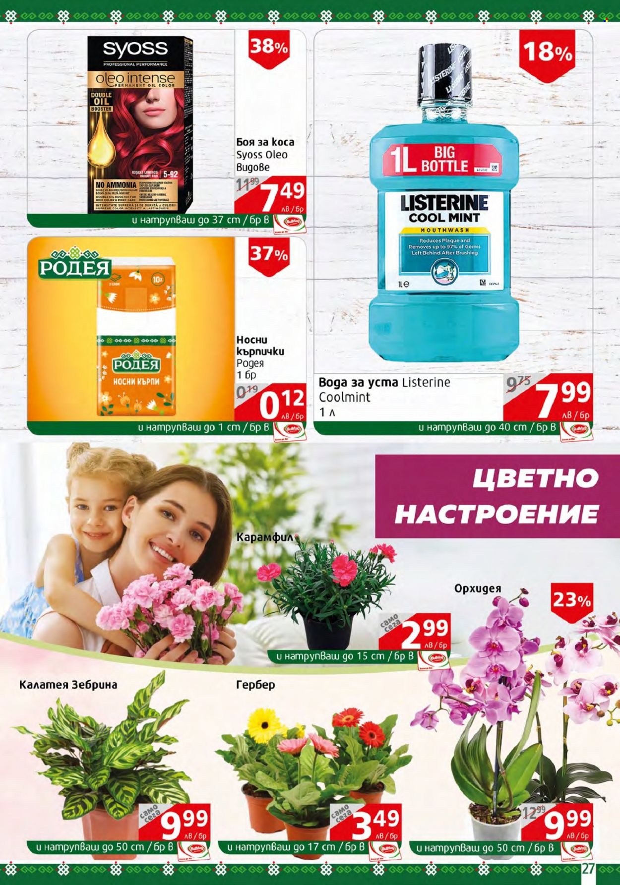 Брошура на BulMag - 13.02.2023 - 19.02.2023. Страница 27
