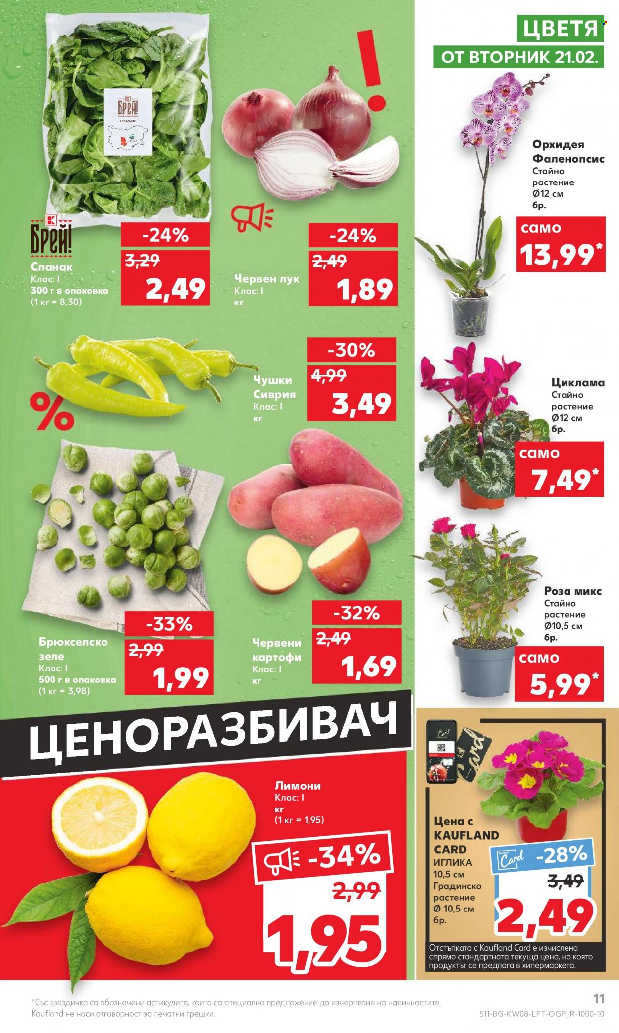 Брошура на Кауфланд - 20.02.2023 - 26.02.2023. Страница 11