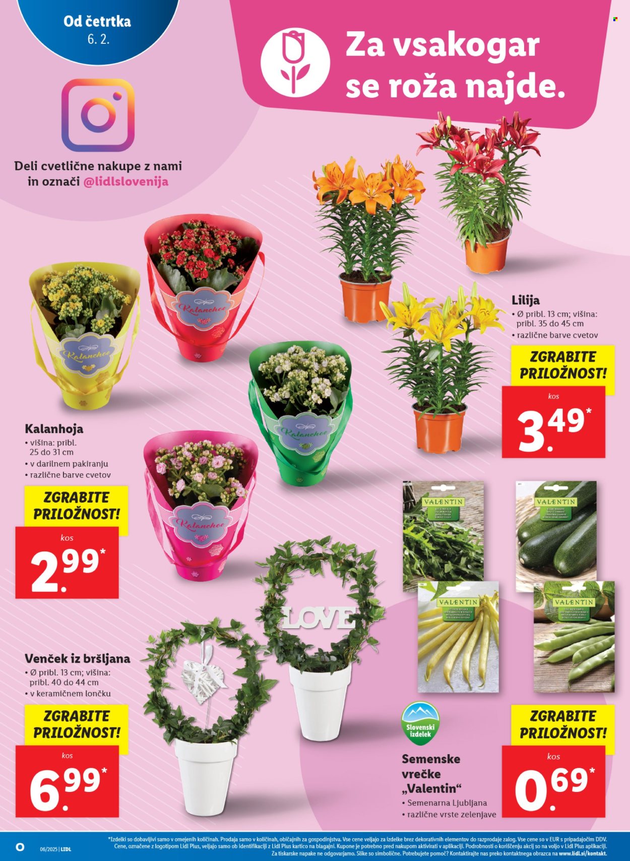 Lidl katalog - 6.2.2025 - 12.2.2025. Stran 6