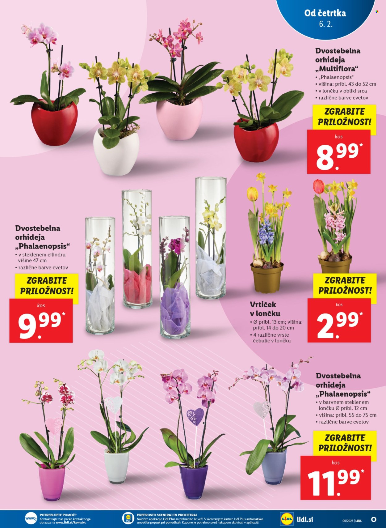 Lidl katalog - 6.2.2025 - 12.2.2025. Stran 7