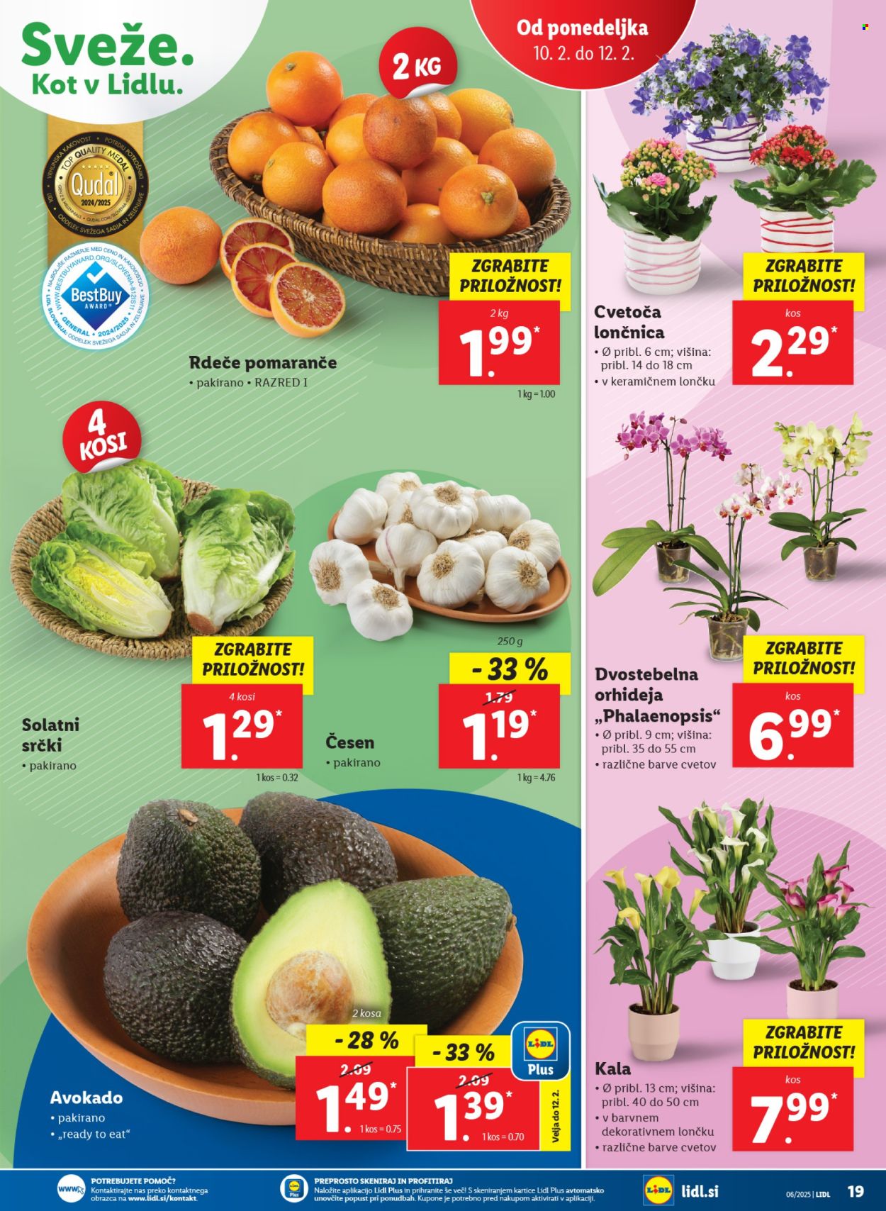 Lidl katalog - 6.2.2025 - 12.2.2025. Stran 39