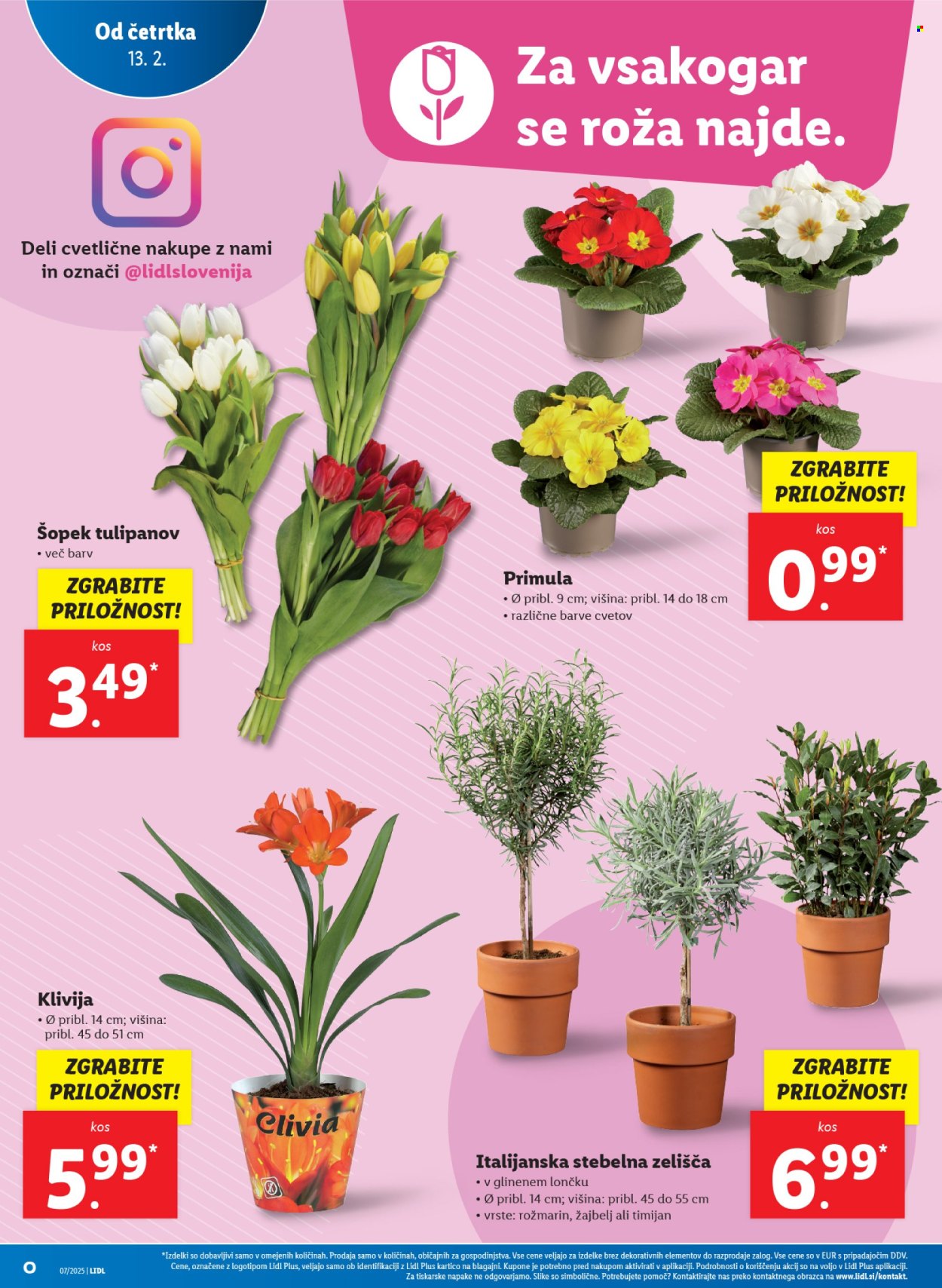 Lidl katalog - 13.2.2025 - 19.2.2025. Stran 10