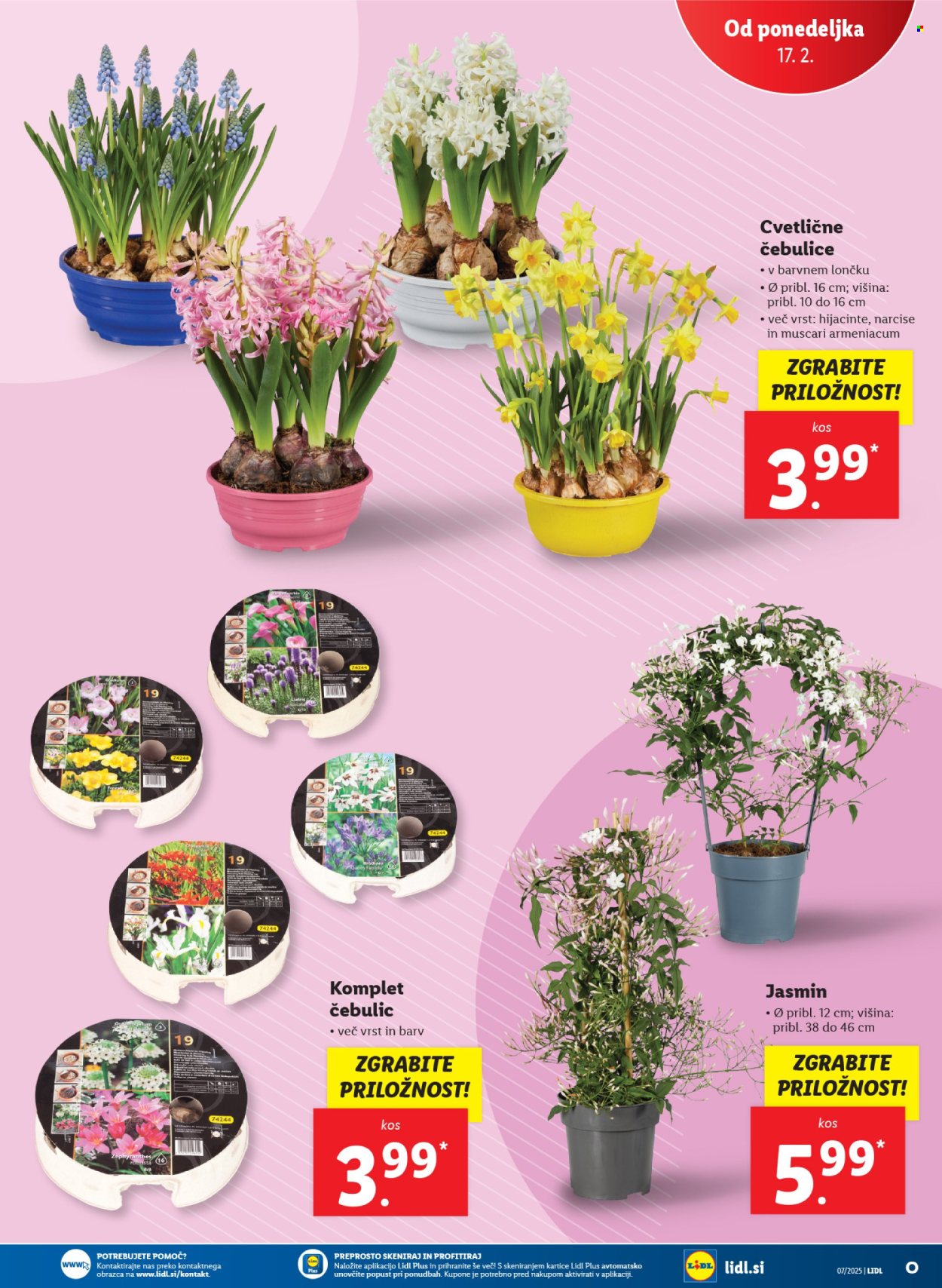 Lidl katalog - 13.2.2025 - 19.2.2025. Stran 43