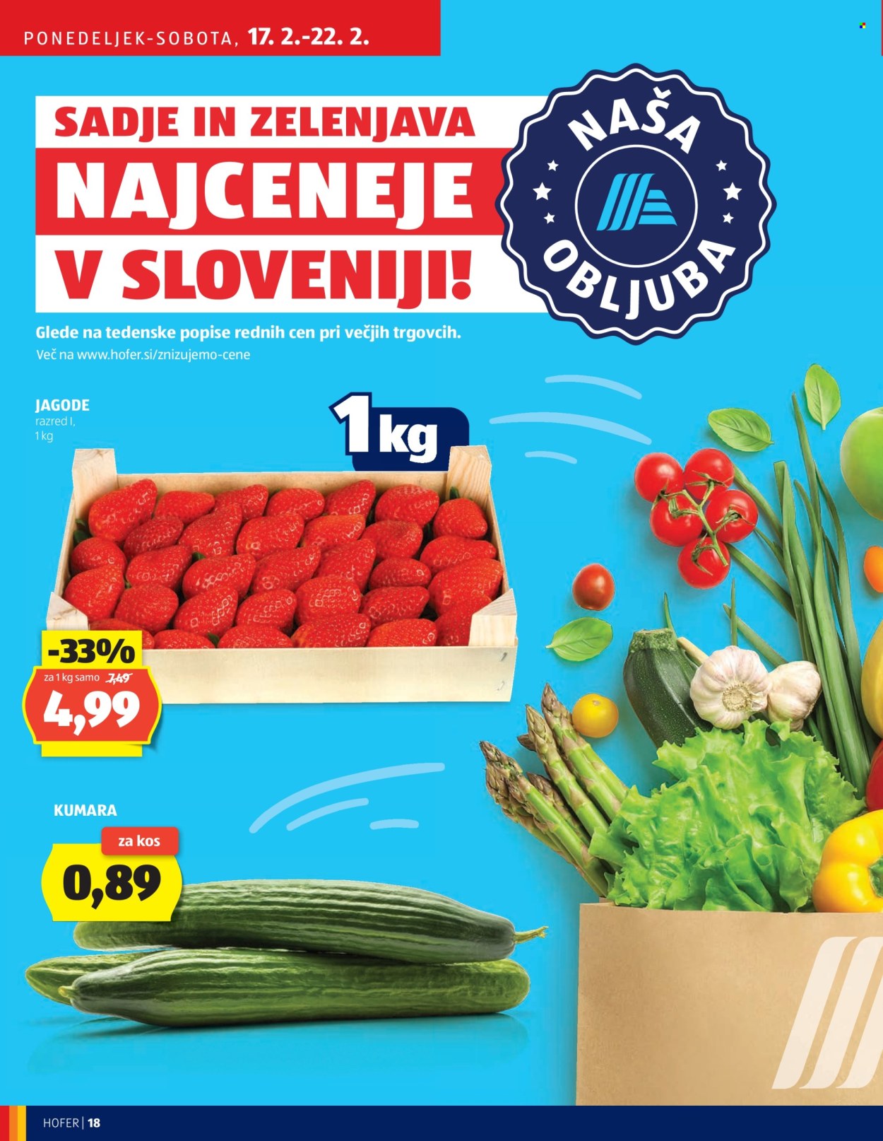 Hofer katalog - 13.2.2025 - 22.2.2025. Stran 18