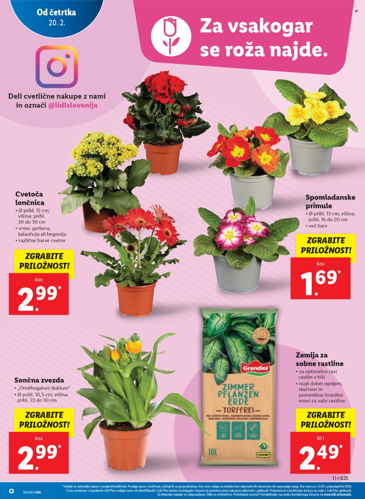 Lidl katalog - 20.2.2025 - 26.2.2025. Stran 10