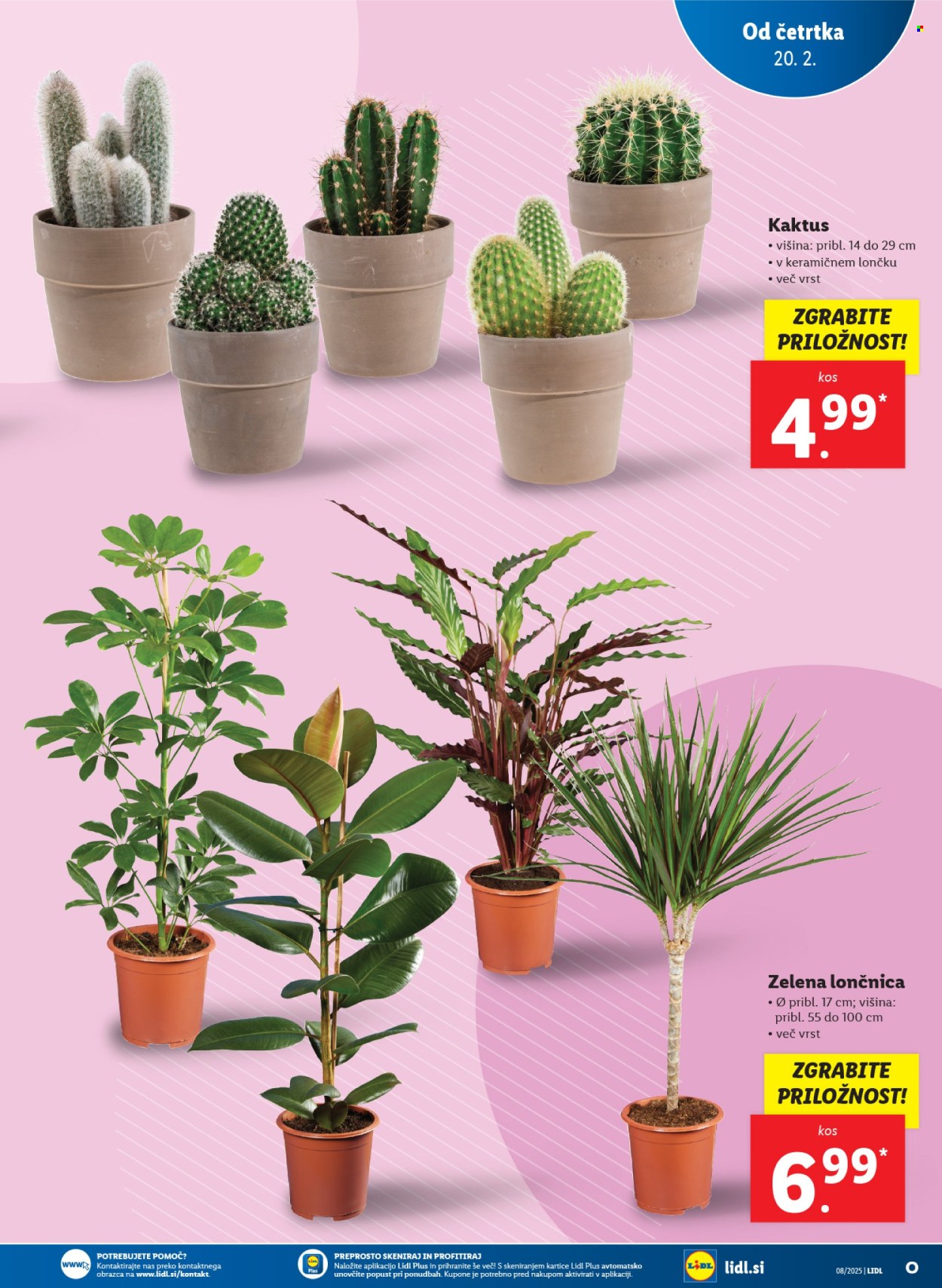 Lidl katalog - 20.2.2025 - 26.2.2025. Stran 11