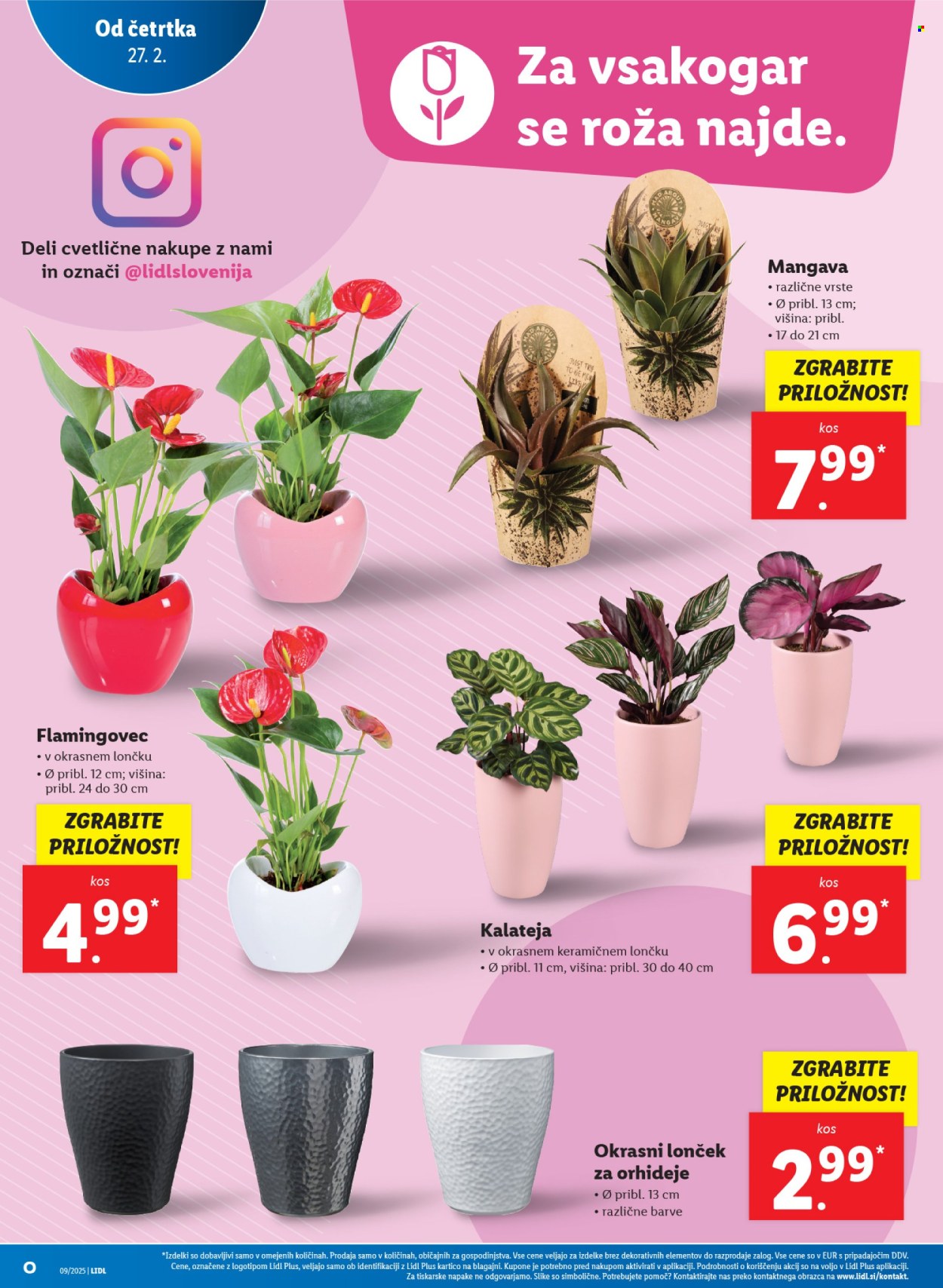Lidl katalog - 27.2.2025 - 5.3.2025. Stran 10