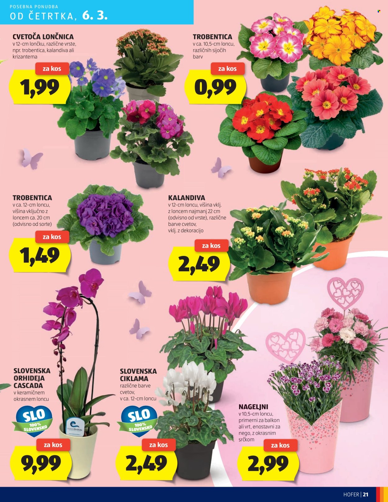 Hofer katalog - 27.2.2025 - 8.3.2025. Stran 21
